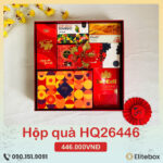 Hộp quà Tết 2026 HQ26446