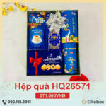 Hộp quà Tết 2026 HQ26571