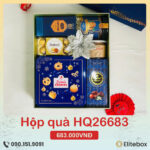 Hộp quà Tết 2026 HQ26683